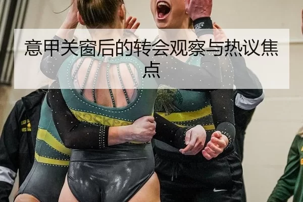 意甲关窗后的转会观察与热议焦点